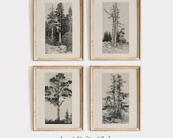 Vintage Gallery Wall Print Set of 4, Botanical Wall Art PRINTABLE Tree Sketches, Etched Prints, Neutral Wall Art Set, DIGITAL Download #S71