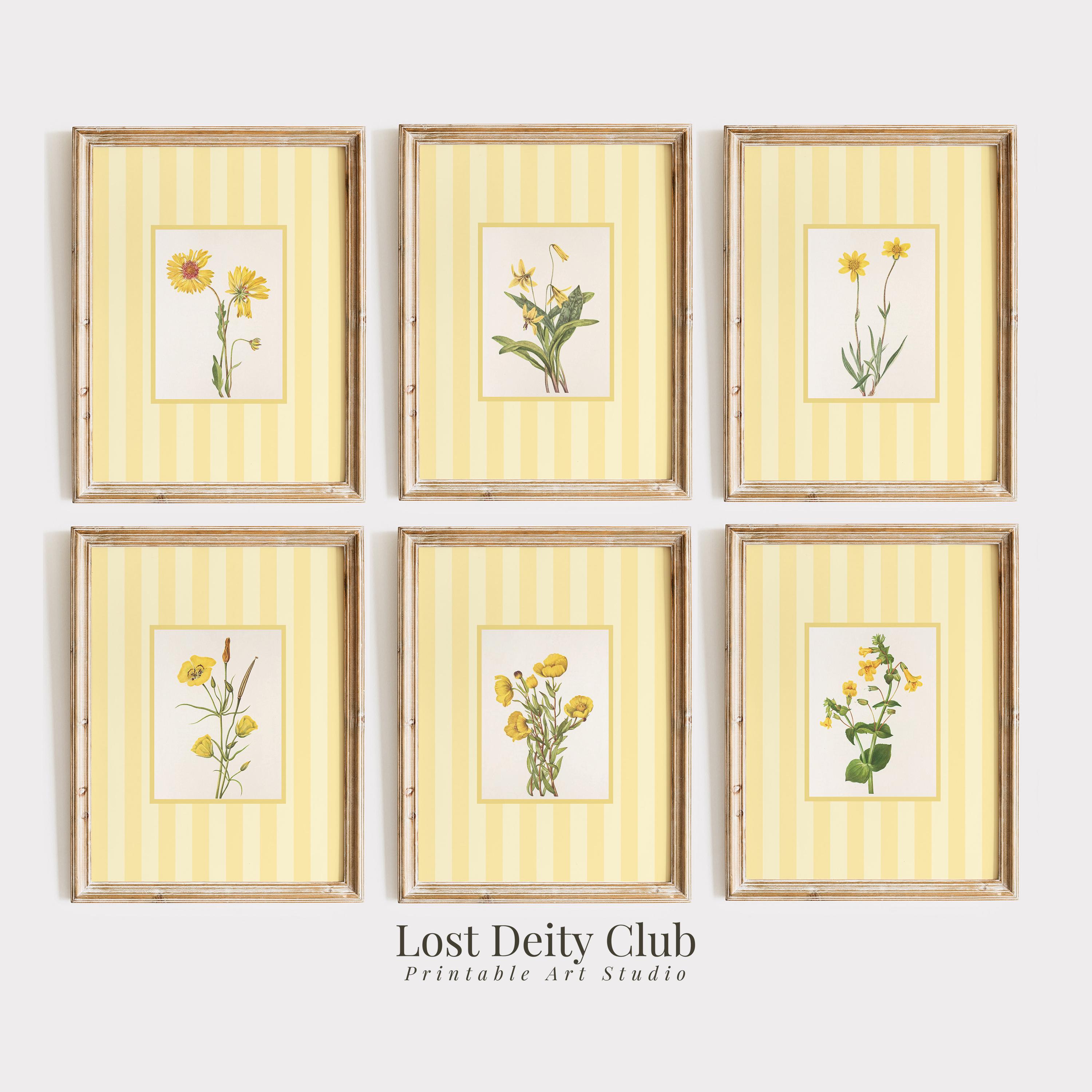 Yellow Striped Floral Art Print Set of 6 Cottagecore Botanical Prints, Spring Gallery Wall Art Set, Pastel Yellow Grandmillennial Decor S133
