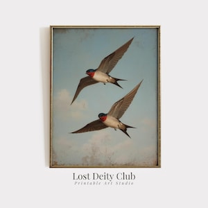 May include: Vintage-style framed print featuring two swallows in flight against a light blue sky with clouds. The birds have brown wings, red throats, and black and blue heads. The print is from the "Lost Deity Club Printable Art Studio".