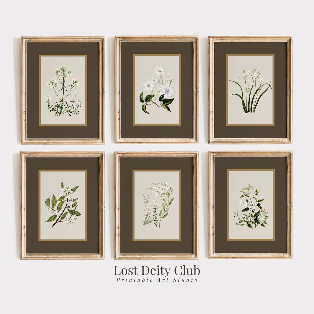 Neutral Botanical Wall Art Set of 6 Flower Art Prints, Gold Brown ...