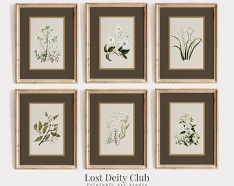 Neutral Botanical Wall Art Set of 6 Flower Art Prints, Gold Brown Matted Vintage Floral Gallery Wall Set DIGITAL Downloadable Wall Art #S135