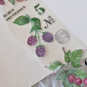 QIQIYU-afplaktape (1 lusmonster), Berry Fruit Plant 述果集, matte PET-tape voor dagboek, plakboek, plannerdecoratie en cadeauverpakking