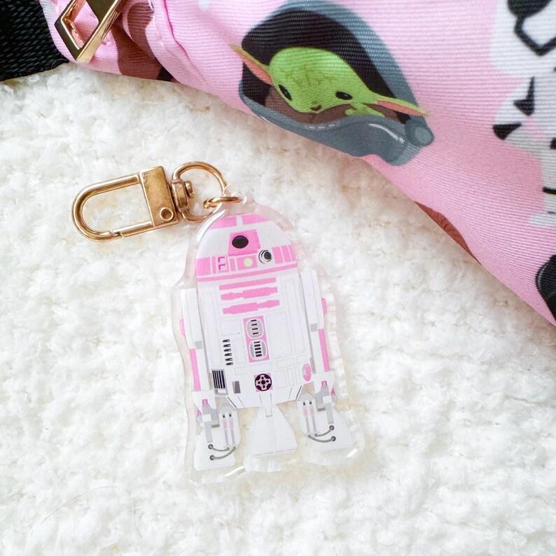 Pu&ograve; includere: Un portachiavi in acrilico trasparente con un design R2-D2 rosa e bianco. Il portachiavi ha un fermaglio color oro ed &egrave; attaccato a un tessuto rosa fantasia. Il design &egrave; ispirato al franchise di Star Wars.
