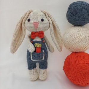 Crochet Animals, Crochet Bunny Amigurumi, Crochet Rabbit, Crochet Stuffed Animals, Crochet Bunny Doll,Newborn or child gift,Baby Shower Gift