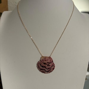 Scallop Shell Necklace / One-of-a-kind / 14k Gold Filled