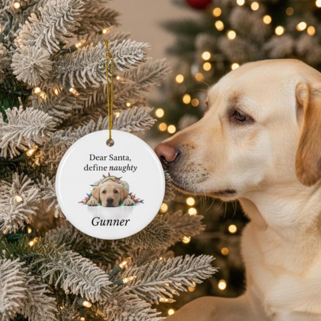 Yellow Lab Stocking Personalized Yellow Lab Puppy Christmas Ornament, Funny Dog Gift ...