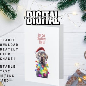 Funny Dog Christmas Card, Digital Download, Silver Lab Christmas, Humorous Holiday Card, Stay Lit Lab in Lights, Pet Lovers Christmas Card