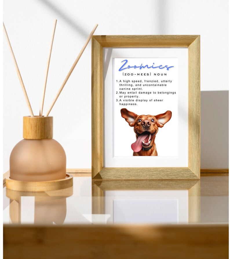 Fox Red Lab Wall Art Funny Labrador Zoomies Dictionary Definition