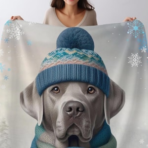May include: A gray dog wearing a blue knit hat with a white pom pom and a blue and green scarf. The dog is on a white background with blue snowflakes.