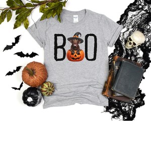 May include: Gray t-shirt with the word "BOO" in black letters. A brown dog wearing a witch hat is inside a pumpkin.