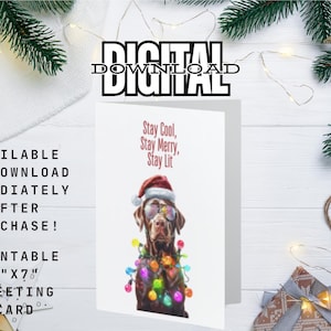 Funny Dog Christmas Card, Digital Download, Chocolate Lab Christmas, Humorous Holiday Card, Stay Lit Lab in Lights Pet Lovers Christmas Card