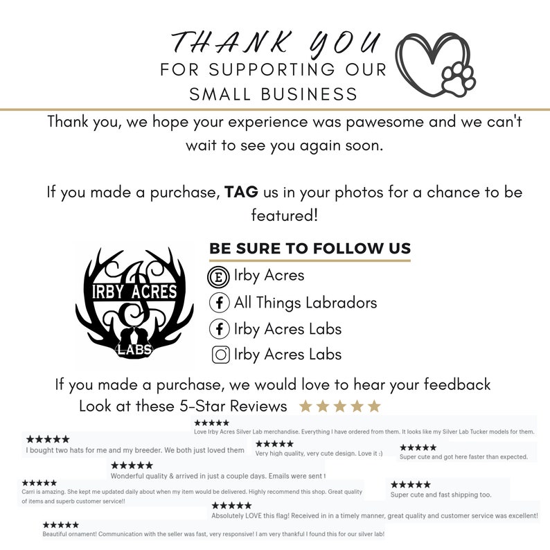 Silver Lab Wall Art Funny Labrador Zoomies Dictionary Definition Poster