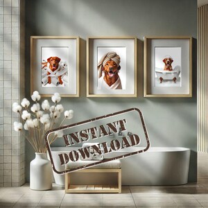Könnte beinhalten: Drei gerahmte Drucke eines Hundes in einer Badezimmerumgebung. Der Hund trägt in einem Druck ein Handtuch auf dem Kopf, badet in einem anderen und hält in einem dritten eine Rolle Toilettenpapier. Die Drucke hängen an einer hellgrauen Wand über einer weißen Badewanne.