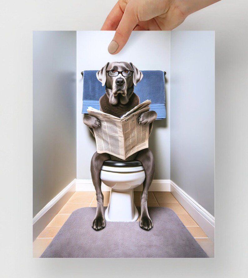 Silver Lab Reading Newspaper on Toilet Bathroom Humor Poster Print ...