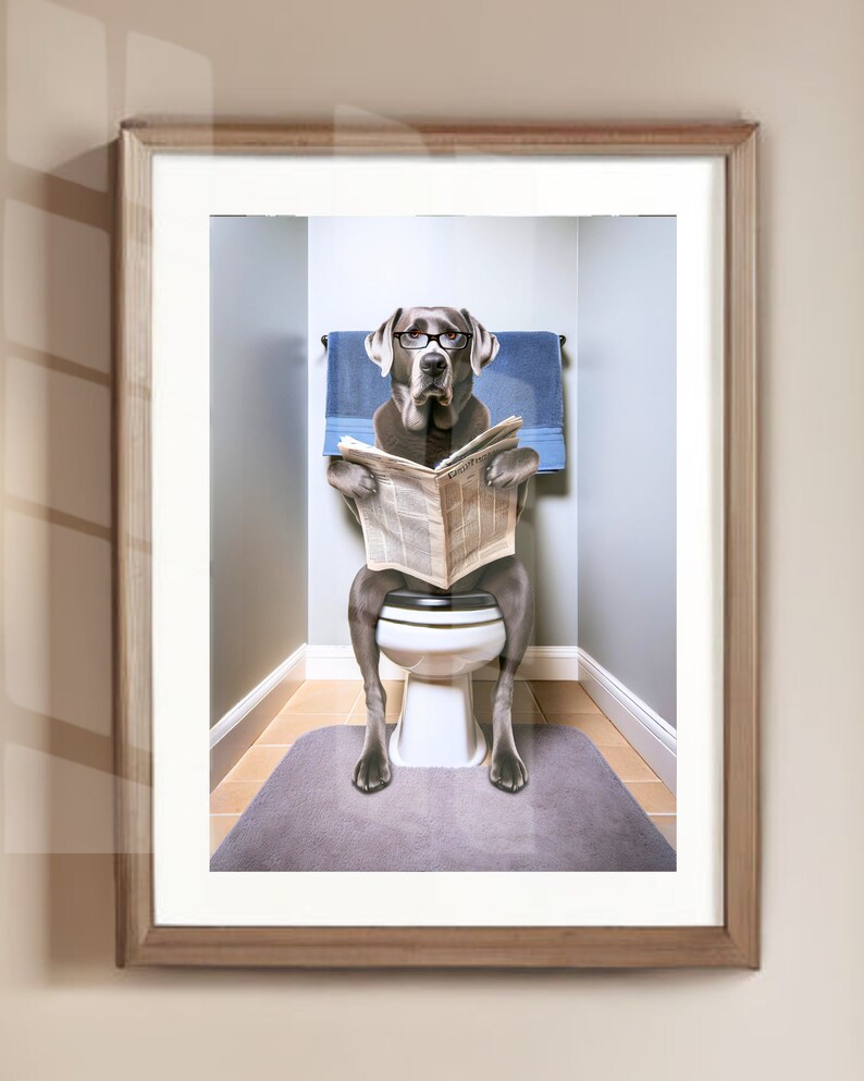 Silver Lab Reading Newspaper on Toilet Bathroom Humor Poster Print ...