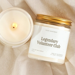 Volunteer Gift Community Helper Candle Nonprofit Worker Charity Volunteer Service Worker Giving Back Gift Thank You End Year Birthday T5418