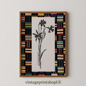 Può includere: Illustrazione botanica in bianco e nero di un narciso con una cornice a motivi colorati. La cornice è composta da strisce e quadrati di diversi colori. L'immagine è intitolata "Narciso".