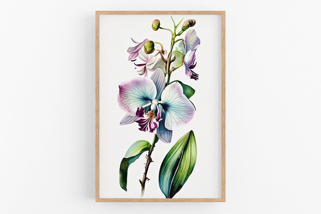 Orchid Flower Art No.40 Wall Art Print Water Flower Canvas Art Kitchen