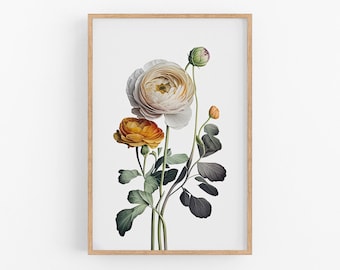 Impressão artística de flor de ranúnculo | Decoração de parede botânica em aquarela