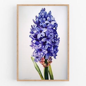 Hyacinth Print Wall Art No.127 | Art Print | Water Hyacinth Canvas Art | Flower Home Decor | Botanic Art | Farmhouse Watercolor Painting