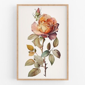 Rose Flower Print Wall Art No.75 | Rose Art Print | Water Flower Canvas Art | Flower Home Decor | Botanical | Farmhouse Watercolor Painting