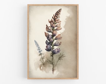 Lupine Vintage Print No.27 | Giclee Art Print | Botanical Wall Art | Vintage Flower Prints | Vintage Botanicals | Watercolor Painting | Art
