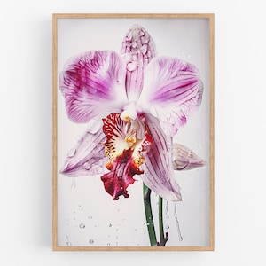 Orchid Print Wall Art No.102 | Art Print | Water Orchid Canvas Art | Flower Home Decor | Vintage Botanic Art | Farmhouse Watercolor Painting