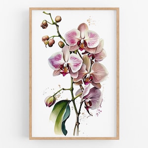 Orchid Flower Print No.43 | Wall Art Print | Water Flower Canvas Art | Vintage Botanical | Pink Wall Art | Home Decor | Watercolor Painting