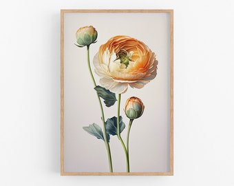 Impressão artística em aquarela da flor Ranúnculo | Decoração botânica para parede
