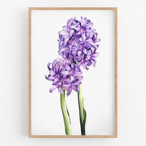 Hyacinth Flower Print Wall Art No.97 | Hyacinth Art Print | Water Flower Canvas Art | Flower Art Home Decor | Farmhouse Watercolor Painting