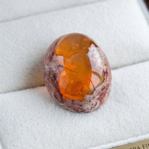 Puede incluir: Una piedra preciosa de ópalo de fuego natural mexicano Cantera, de forma ovalada, con un vibrante color naranja y fracturas internas. El ópalo está engastado en una caja de joyería de madera con interior de terciopelo blanco. Una placa dorada dice "NATURAL MEXICAN CANTERA FIRE OPAL - MAGDALENA, JALISCO."
