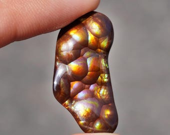 May include: A polished fire agate gemstone with a smooth, irregular shape. The stone displays a deep brown base color with iridescent, glowing patches of orange, gold, and purple light reflecting from within its layered, botryoidal structure.
