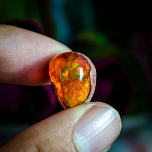 May include: A vibrant, polished opal gemstone, showcasing a spectrum of fiery orange, yellow, and green internal colors. The gemstone is held between two fingers, highlighting its unique, natural beauty. The opal's surface reflects light, creating a captivating display of color.
