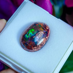 May include: A vibrant, multi-coloured opal gemstone with a brown base and flashes of green, blue, and purple. The opal is set in a white display box.
