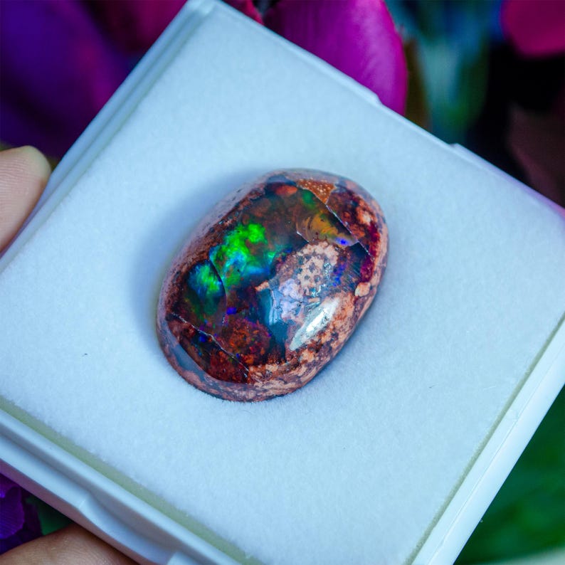 May include: A vibrant, multi-coloured opal gemstone with a brown base and flashes of green, blue, and purple. The opal is set in a white display box.