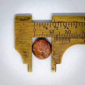 May include: A round, polished amber-colored stone with mottled brown and orange inclusions. The stone is positioned between the jaws of a brass caliper, showing a diameter of approximately 0.5 inches on the imperial scale.