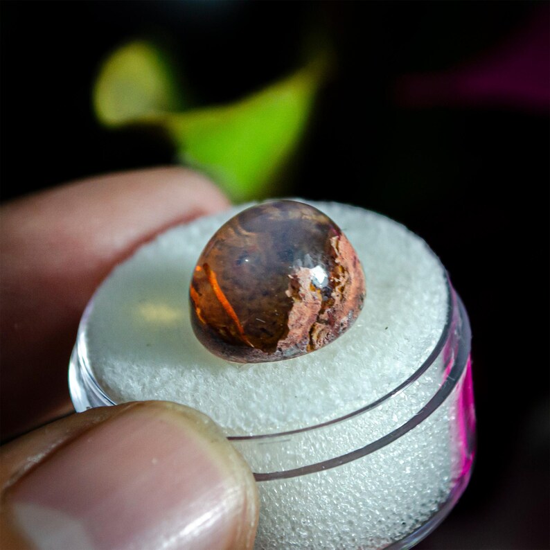 May include: A polished, rounded gemstone with a translucent amber and brown body, featuring internal dark inclusions and a textured, lighter-colored mineral vein running across one side, resting on a white foam insert inside a clear plastic container.
