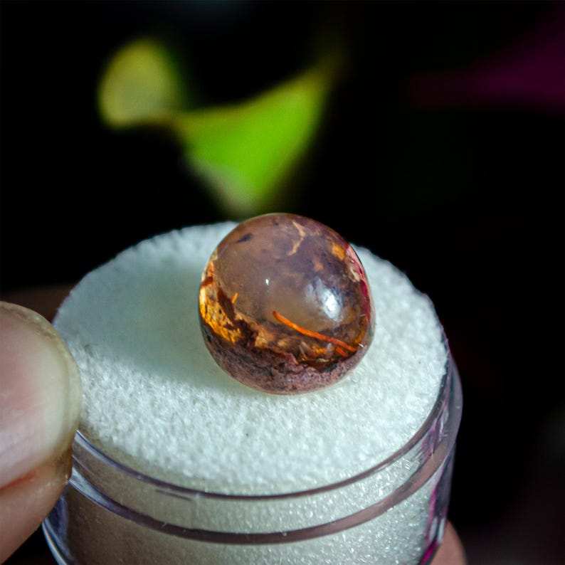 May include: A polished, translucent, dome-shaped gemstone with a smooth surface. The stone features a warm, amber-colored interior with dark brown, earthy inclusions and a distinct, thin, bright orange needle-like filament visible inside.