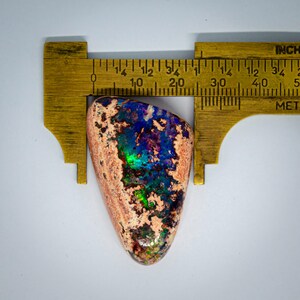 May include: A colorful, iridescent opal gemstone with a rough, textured surface. The opal is measured with a ruler, showing it is approximately 1 inch in length.
