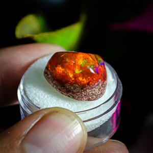 May include: A vibrant, polished opal gemstone with a fiery orange and red color, displaying flashes of green, blue, and yellow. The opal is set in a clear plastic container with a white base. The base of the opal has a rough, brown texture.