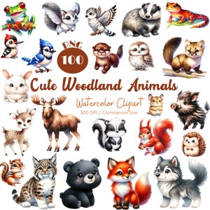 Lindos animales del bosque Clipart 100 PNG acuarela lindos animales del bosque animales adorables animales lindos baby shower vivero arte descarga digital