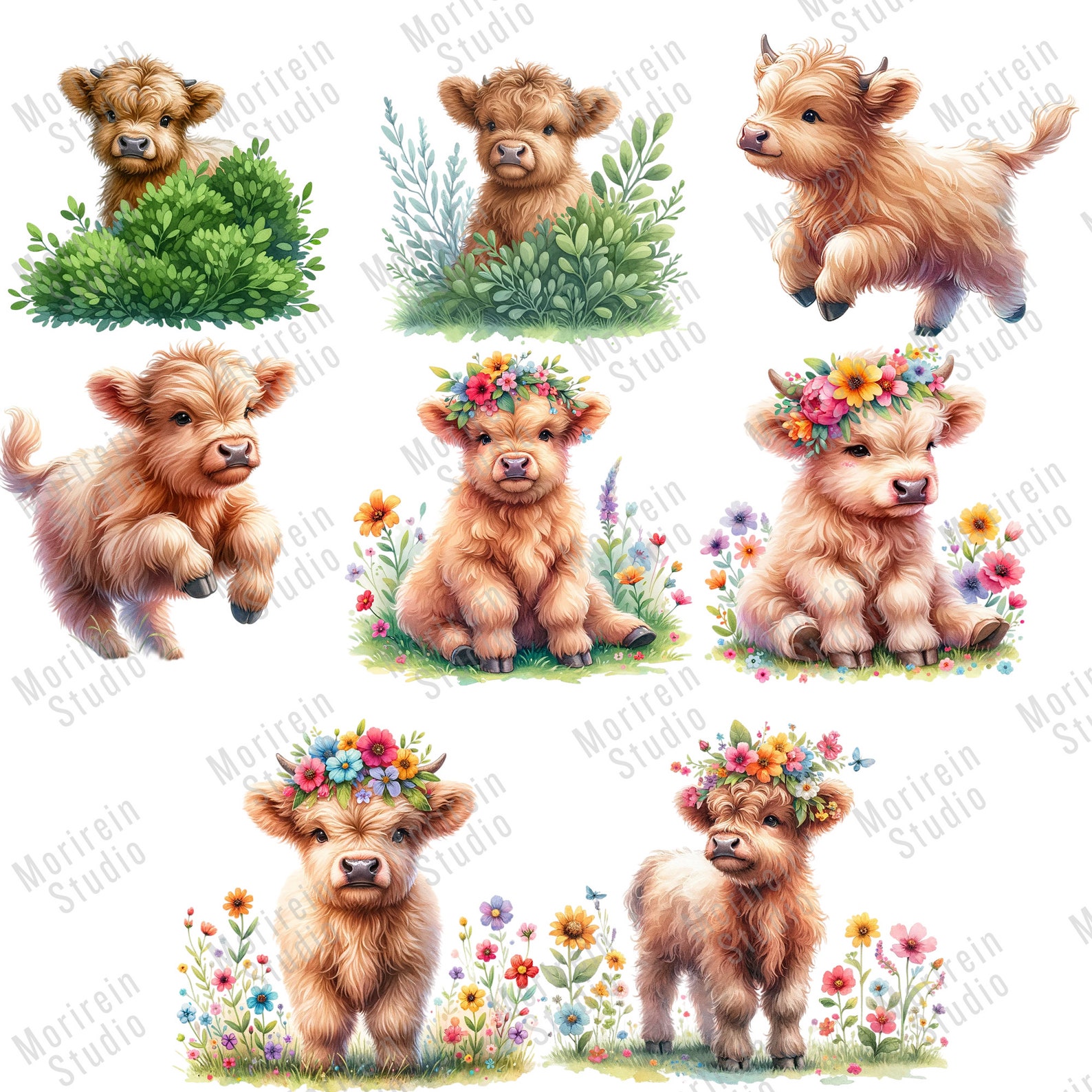 Baby Highland Cow Watercolor Clipart: 47 PNG Nursery Art (digital ...