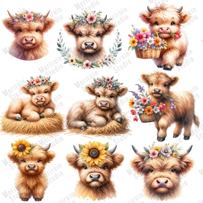 Baby Highland Cow Watercolor Clipart: 47 PNG Nursery Art (digital ...