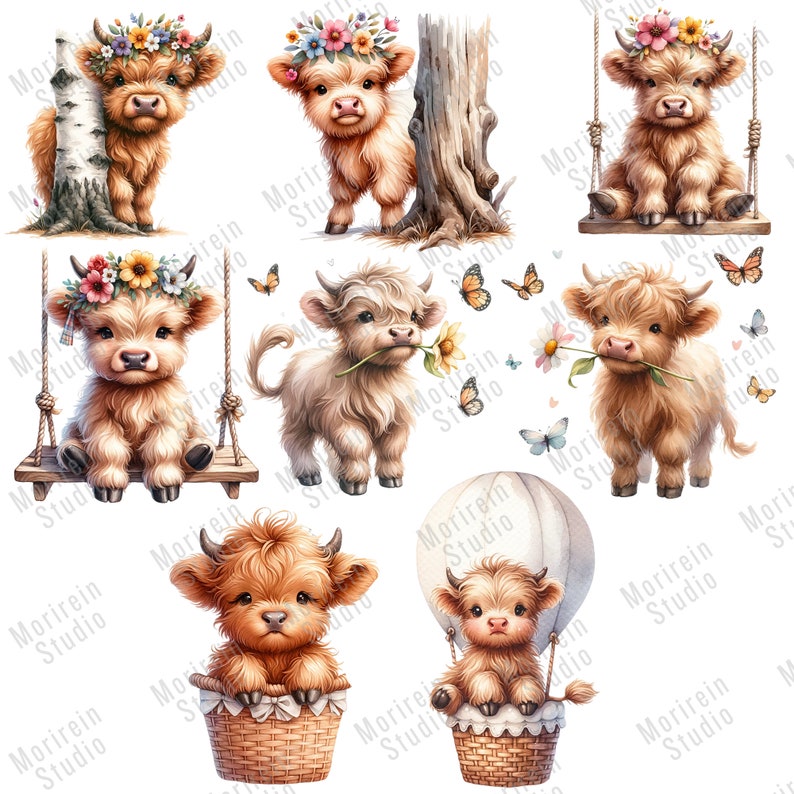 Baby Highland Cow Watercolor Clipart: 47 PNG Nursery Art (digital ...