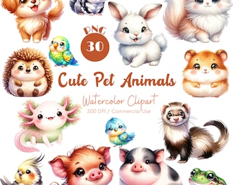 Simpatici animali Clipart 30 PNG acquerello simpatico animale Safari animale adorabile animale illustrazioni Woodland Animal Nursery Art Download digitale