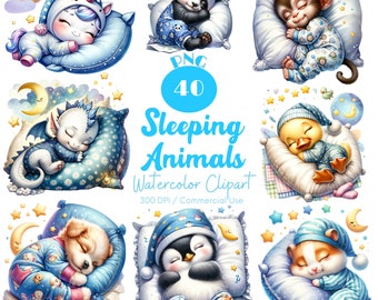 Sleeping Animals Clipart 40 PNG Watercolor Cute Sleeping Animals PNG Sleepy Pillow Animal Dreamy Animal Clipart Baby Shower Digital download