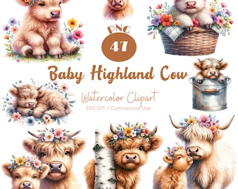 Baby Highland Cow Clipart 47 PNG Watercolor Baby Highland Cow PNG Animal Baby Shower Art Cute Animal Baby Cow Nursery Art Digital Download