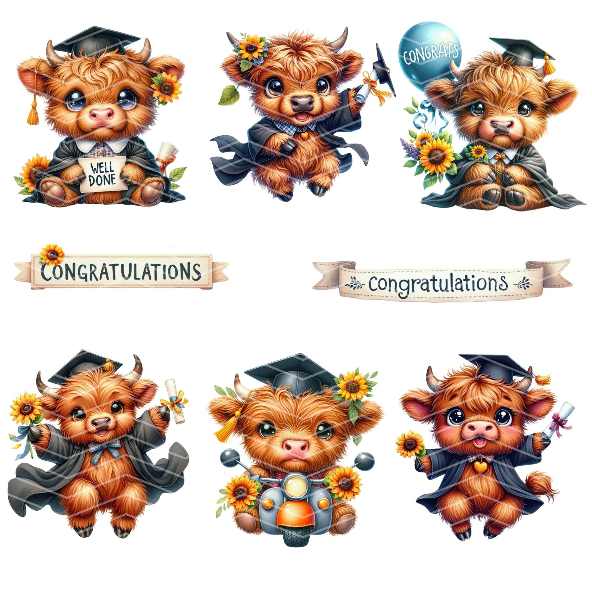Watercolor Graduation Highland Cow Clipart: Nursery PNG (commercial Use ...