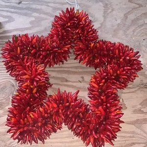 Star Ristra