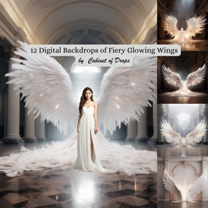 Fiery Glowing Angel Wings Digital Backdrops, Maternity Backdrop Overlays, Studio Backdrops, Art Textures Photoshop Overlays